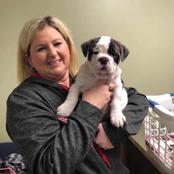 Meet your Posher, Karli - Picture 1 of 1